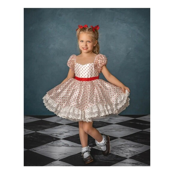 NWT Bitty Bundles of Joy M.Joy Handmade "Be Mine" Valentine Hearts Dress Size 10 - Picture 2 of 13